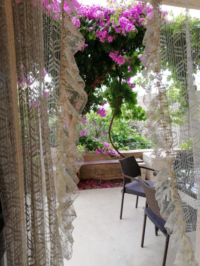 Apartmani Martinovka ドラスニセ エクステリア 写真